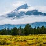 Guía para visitar Yellowstone: rutas, fauna, seguridad y consejos