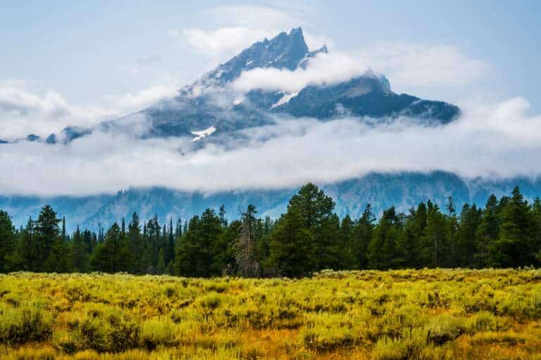 Guía para visitar Yellowstone: rutas, fauna, seguridad y consejos