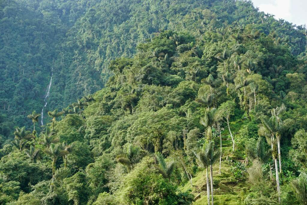 Ciudad Perdida Trekking